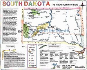 South Dakota map Blank outline - SOUTH DAKOTA 300x241
